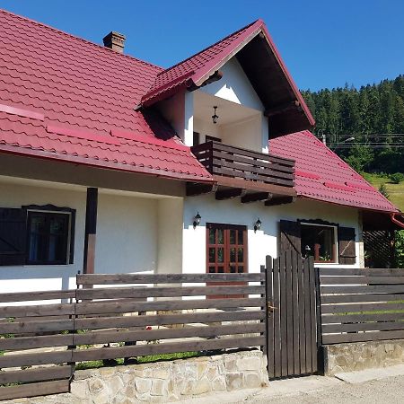 Pensiunea Daria Putna Exterior foto