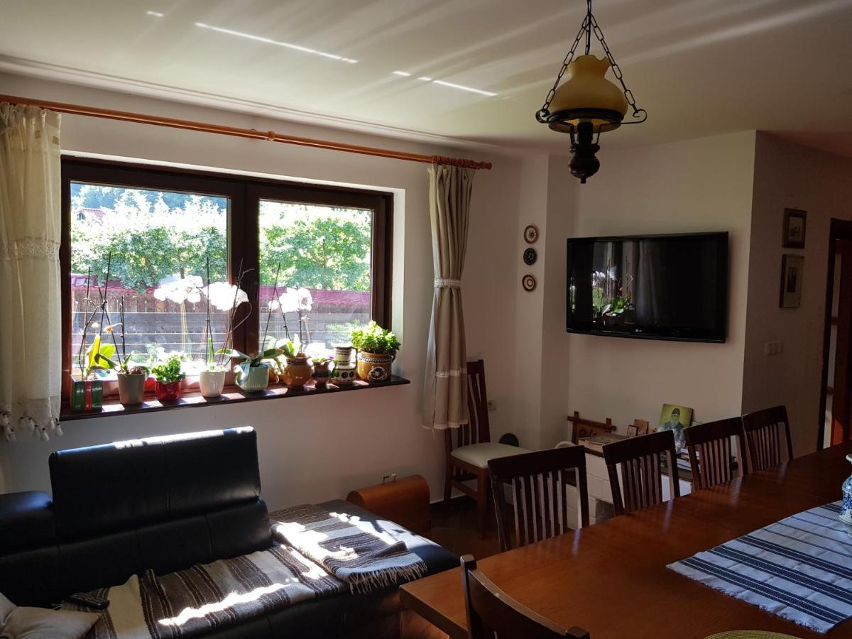 Pensiunea Daria Putna Exterior foto